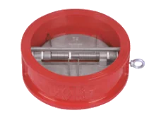 DH77X Double Door Check Valve